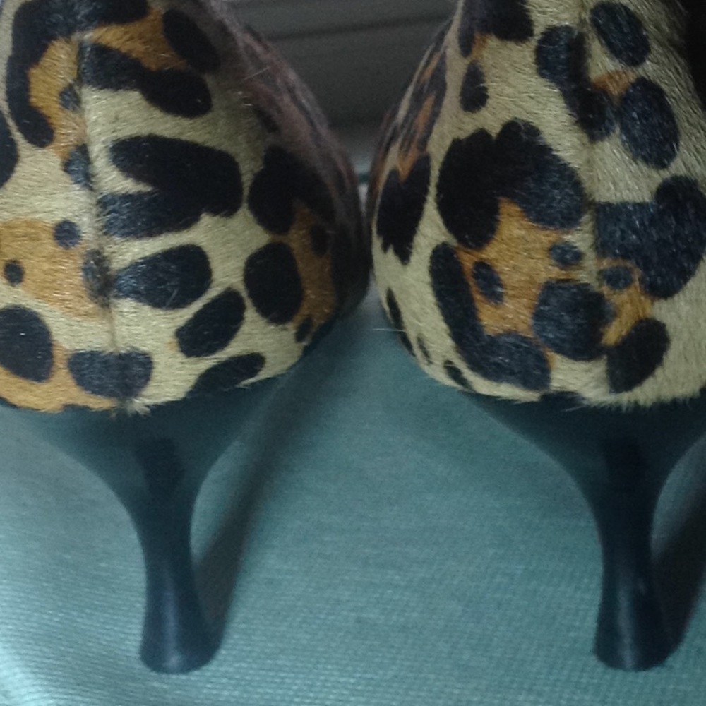 NWOB❗️NEVER WORN ❗️Leopard Hair Pump. - Picture 3 of 6
